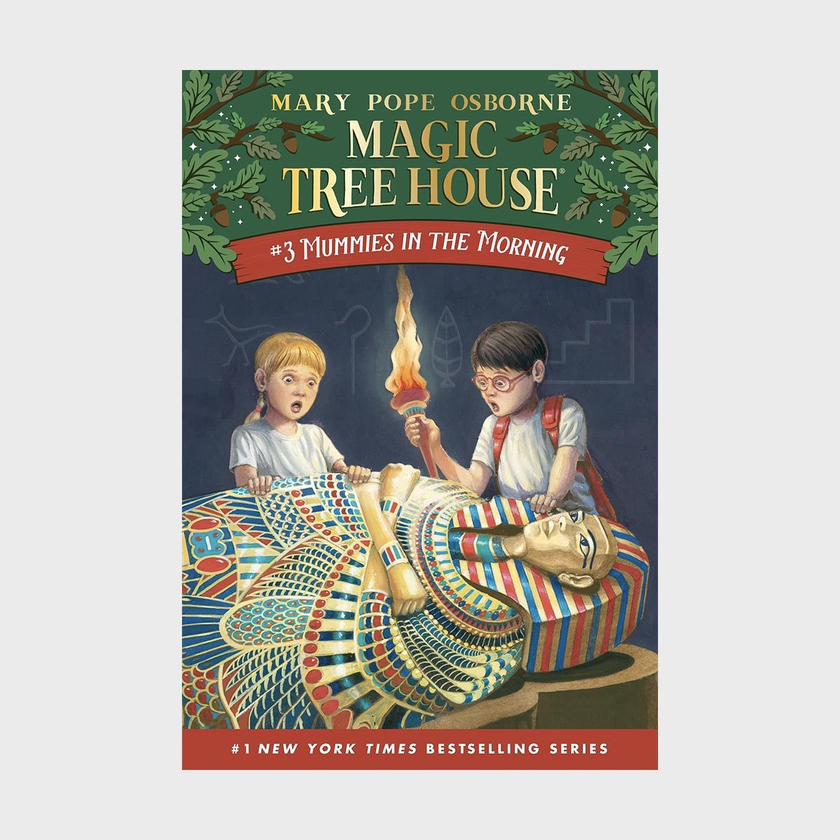 Magic Tree House 3