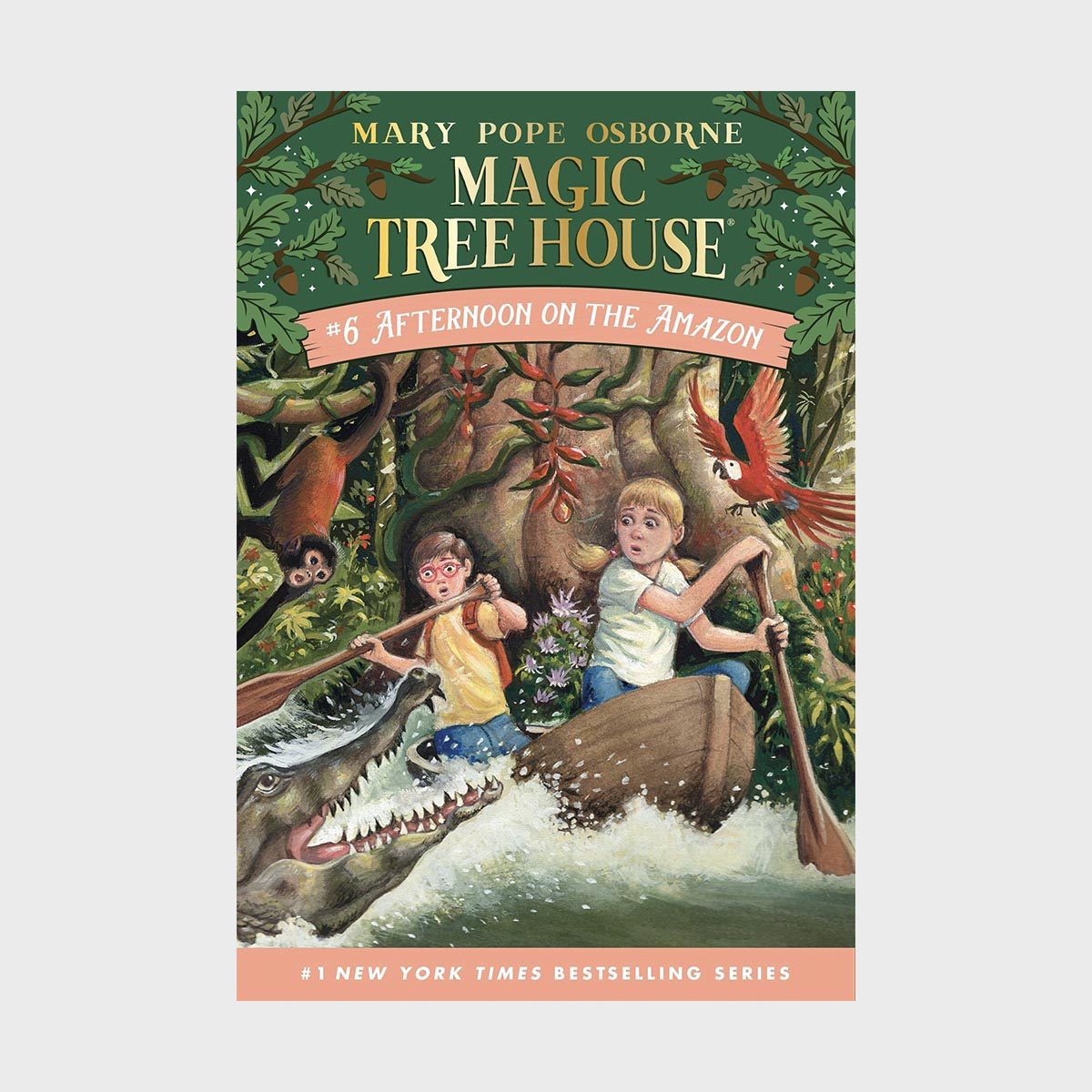 Magic Tree House 6