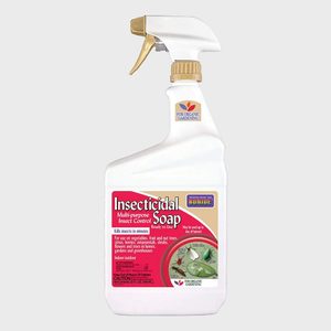 Insecticidal Soap