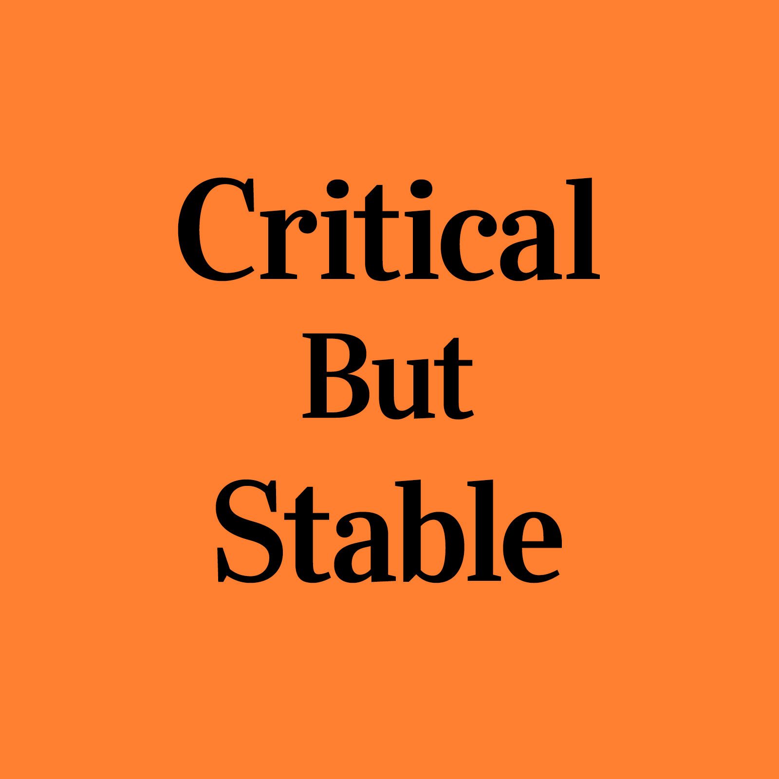 What Does “Critical But Stable” Mean?