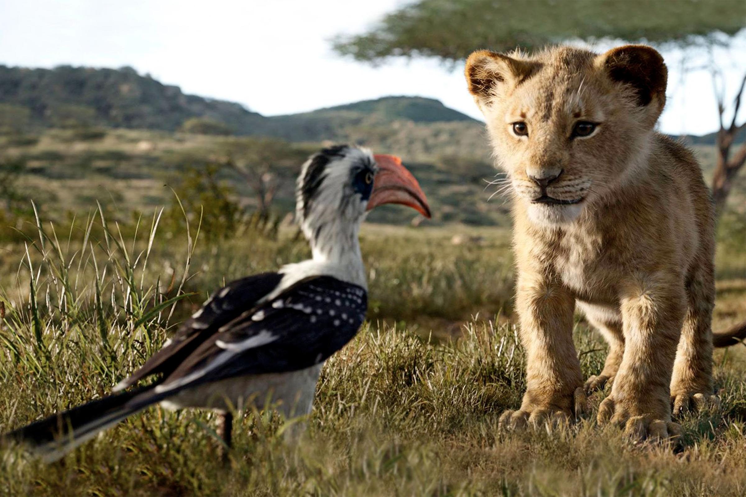 Disney Live Action Remake 15 The Lion King