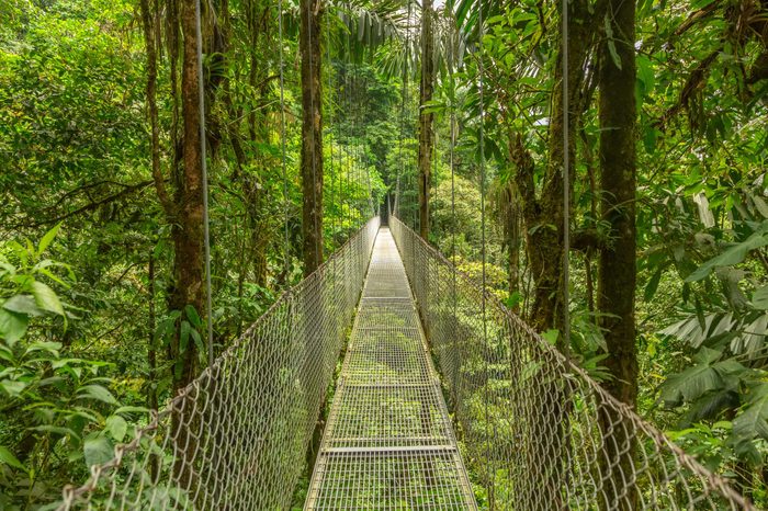 Hanging bridge in Costa Rica