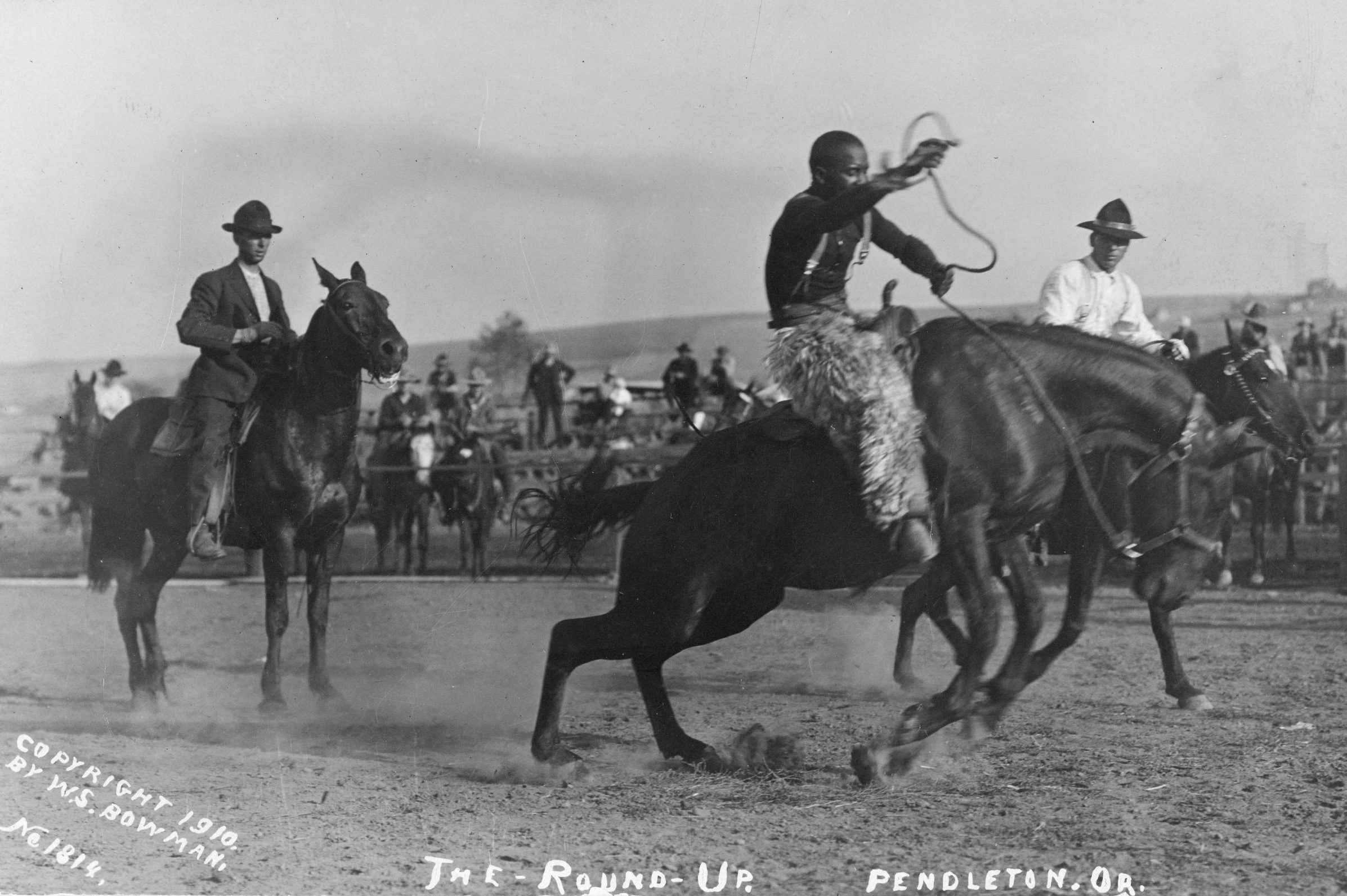 Cowboys At Pendleton Round-Up