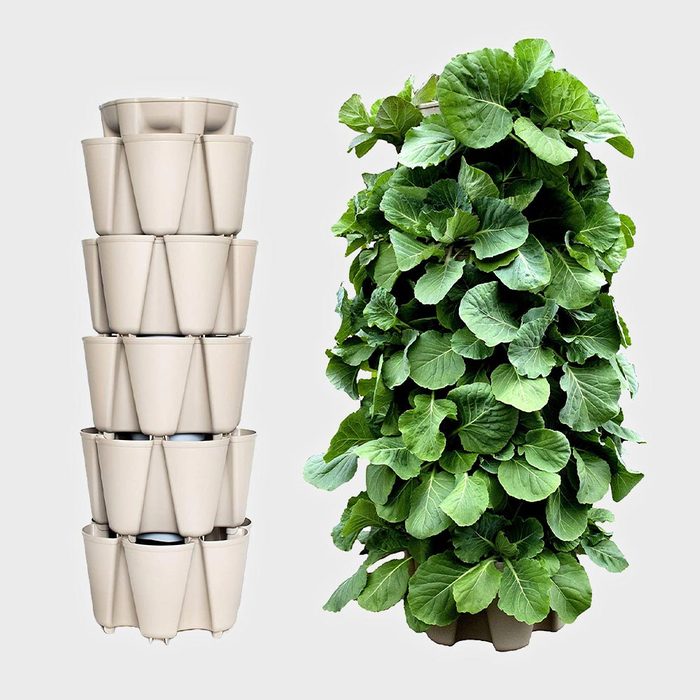 Greenstalk 5 Tier Original Vertical Planter