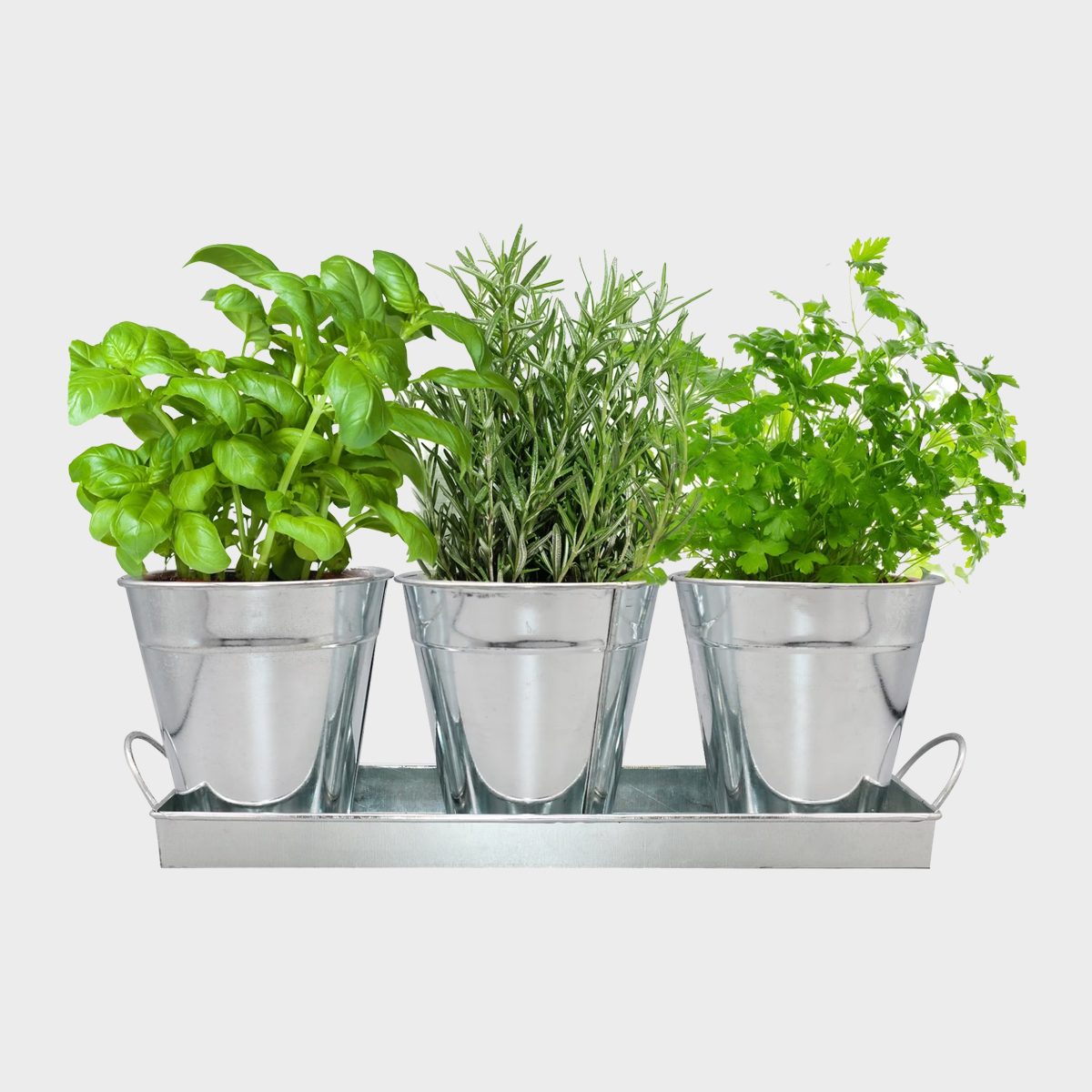 Herb Garden Kit Complete Herb Growing Kit Set With Planters, Seeds, Soil Wafers And Tray Ecomm Etsy.com