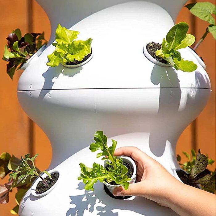 Lettuce Grow Farm stand