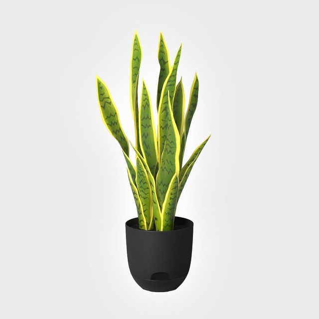 Room Essentials Indoor Outdoor Self Watering Planter