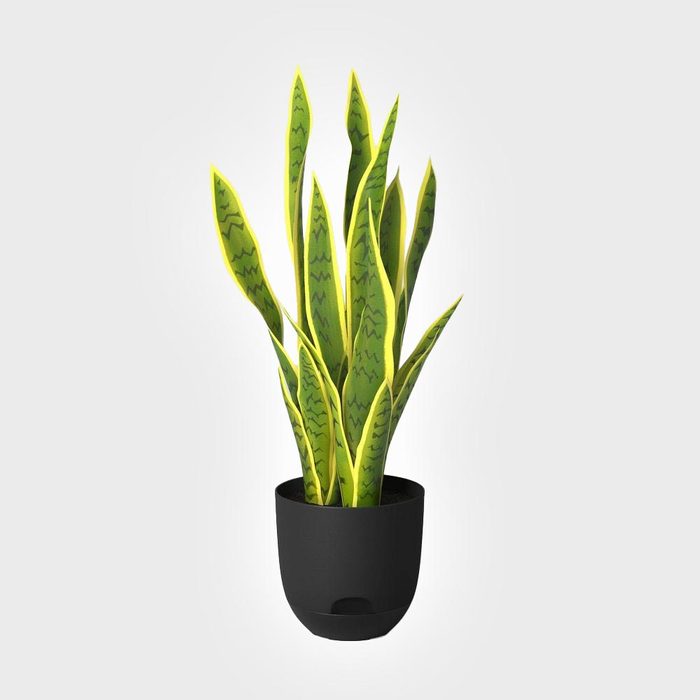 Room Essentials Indoor Outdoor Self Watering Planter