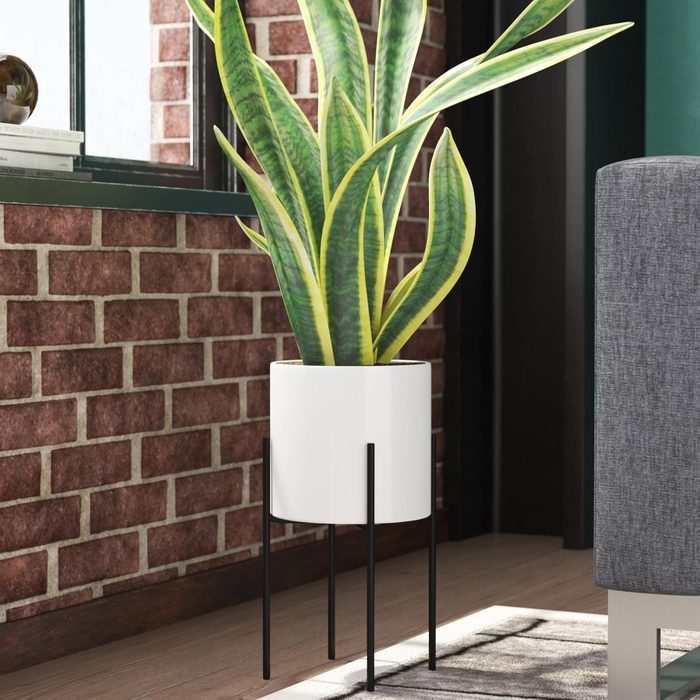 Terrell Ceramic Pot Planter