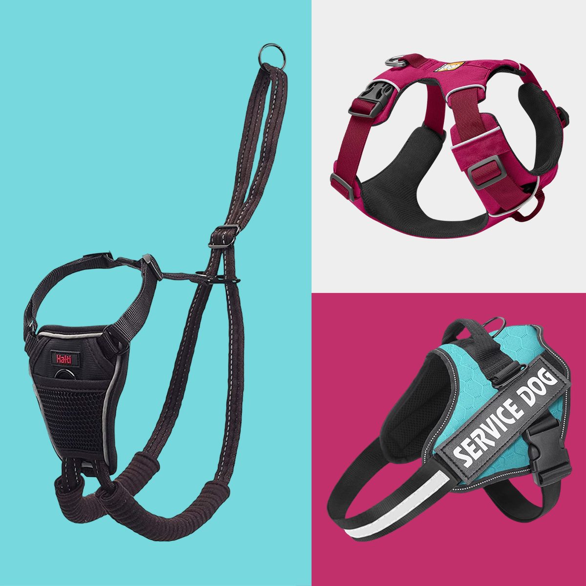 The 8 Best No-Pull Dog Harnesses, According to Pet Experts