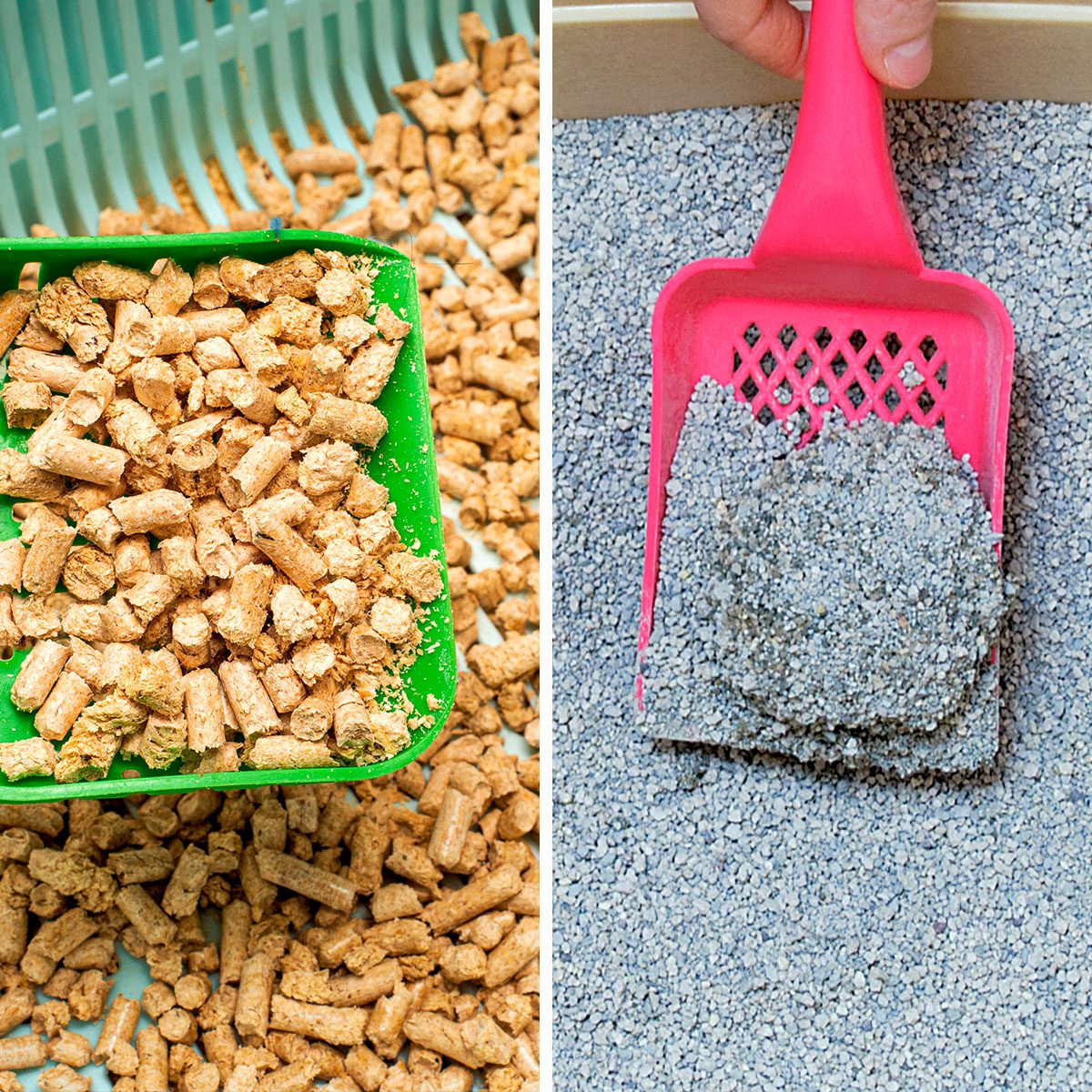 Wood Cat Litter vs Clay Cat Litter: What’s the Difference?