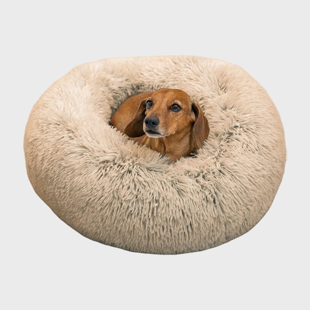 Calming Donut Dog Bed