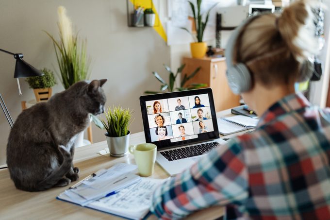 Woman Works from home with cat and colleagues