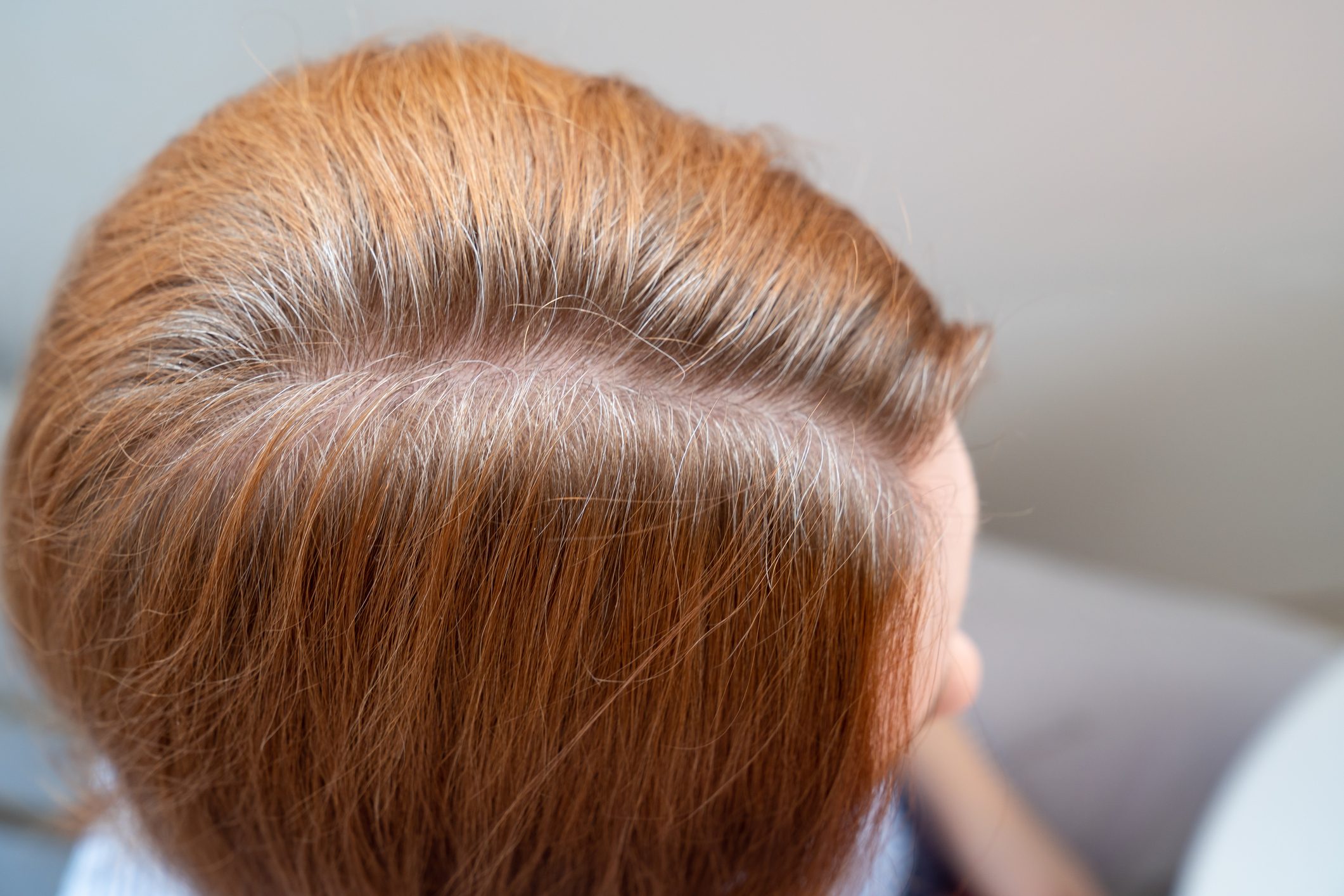 woman shows regrown hair roots. long dyed hair, growing natural color. gray.