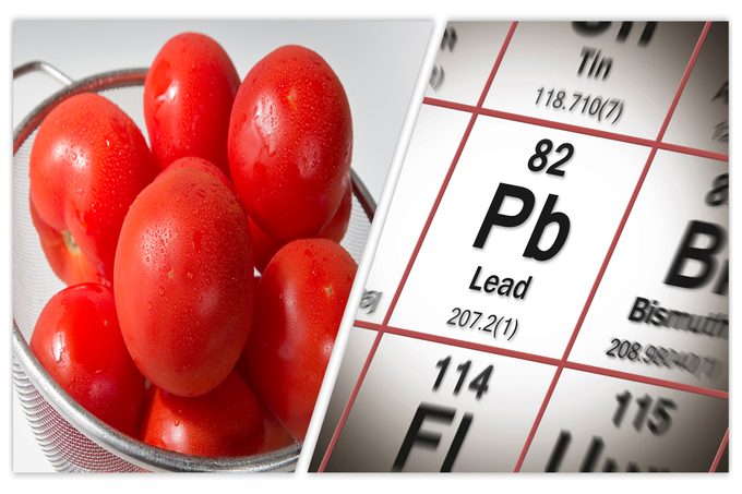 Risk Of Lead In Tomatoes Concept