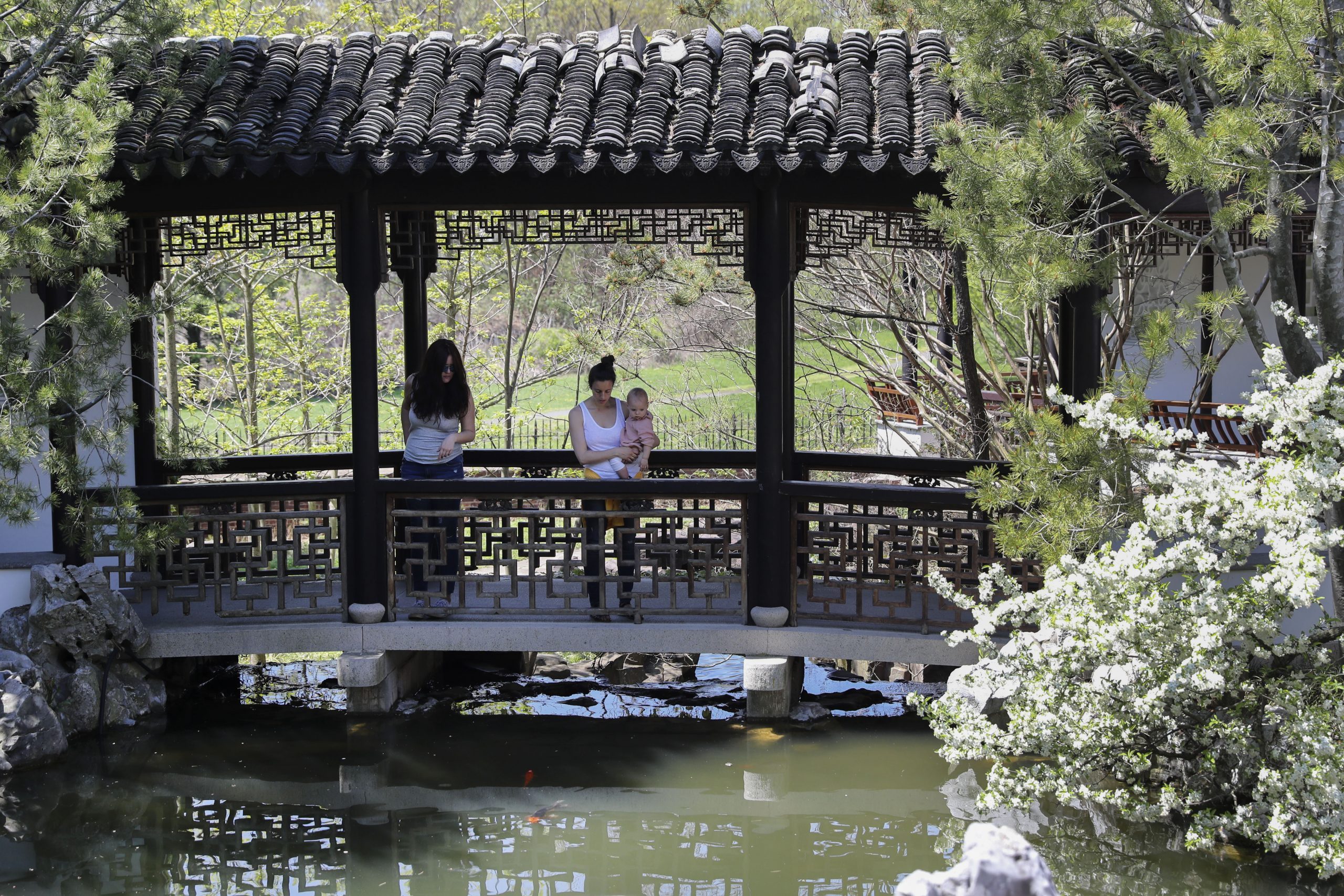 NEW YORK-CHINESE SCHOLAR'S GARDEN