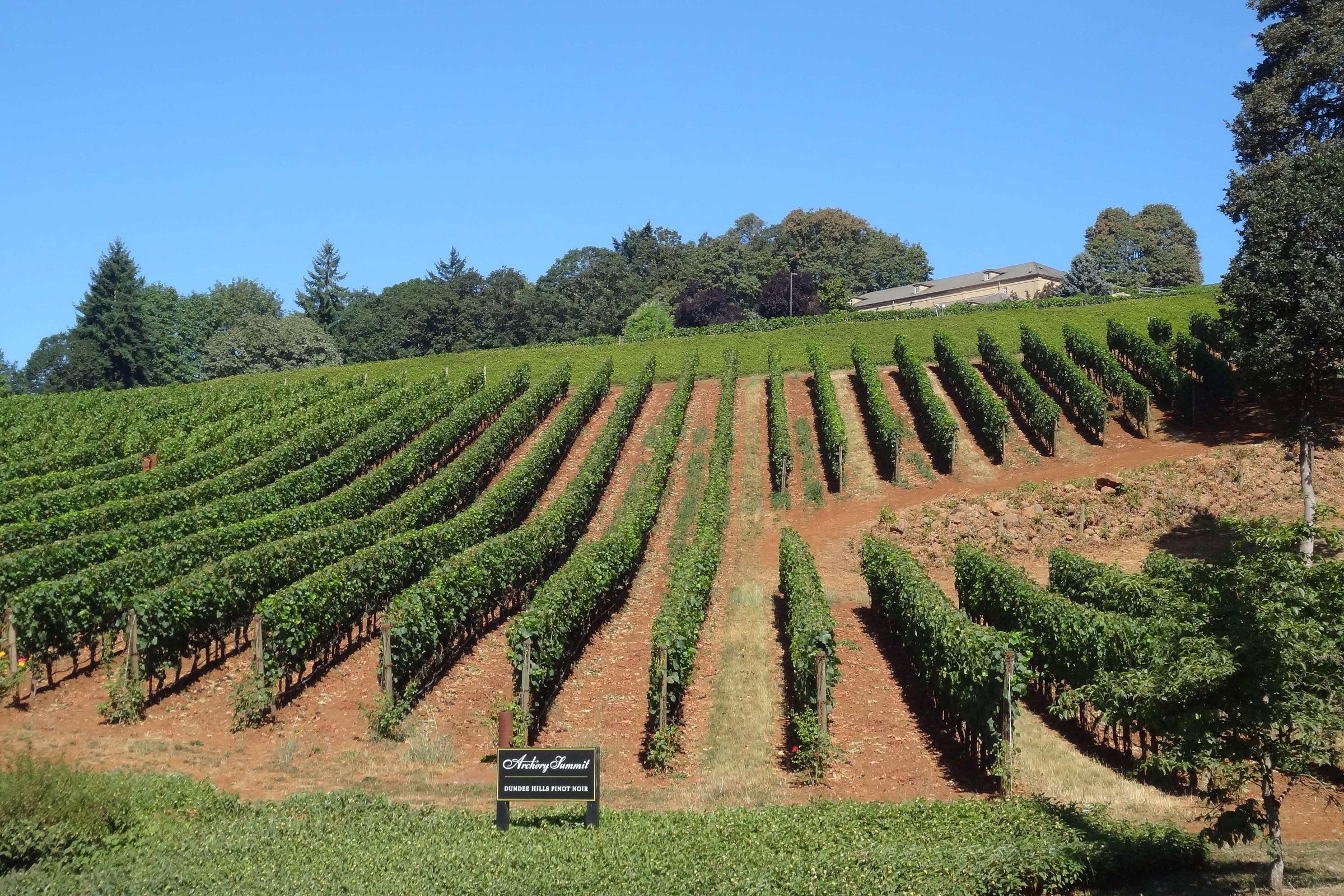 Archery Summit Winery