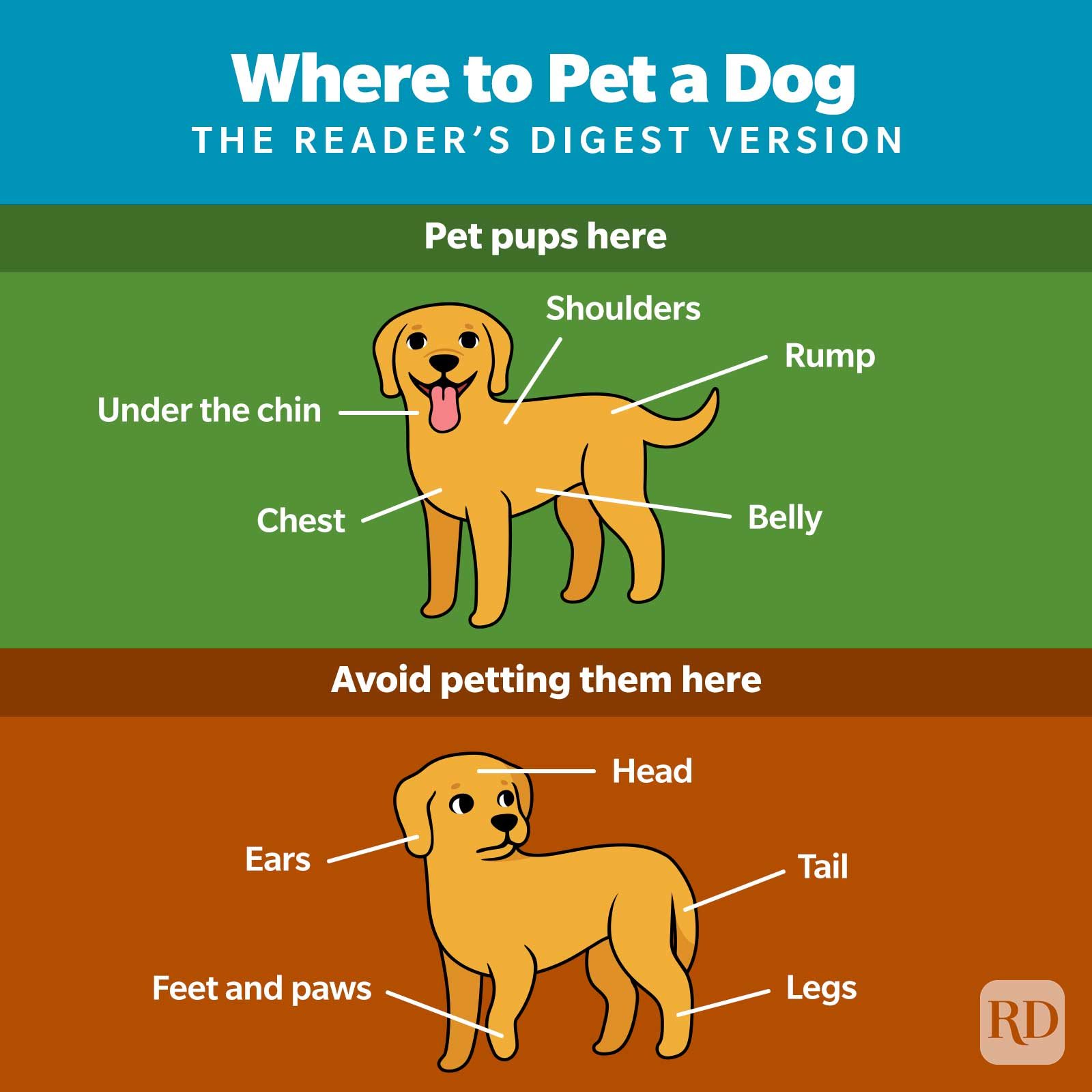 Where To Pet A Dog Infographic