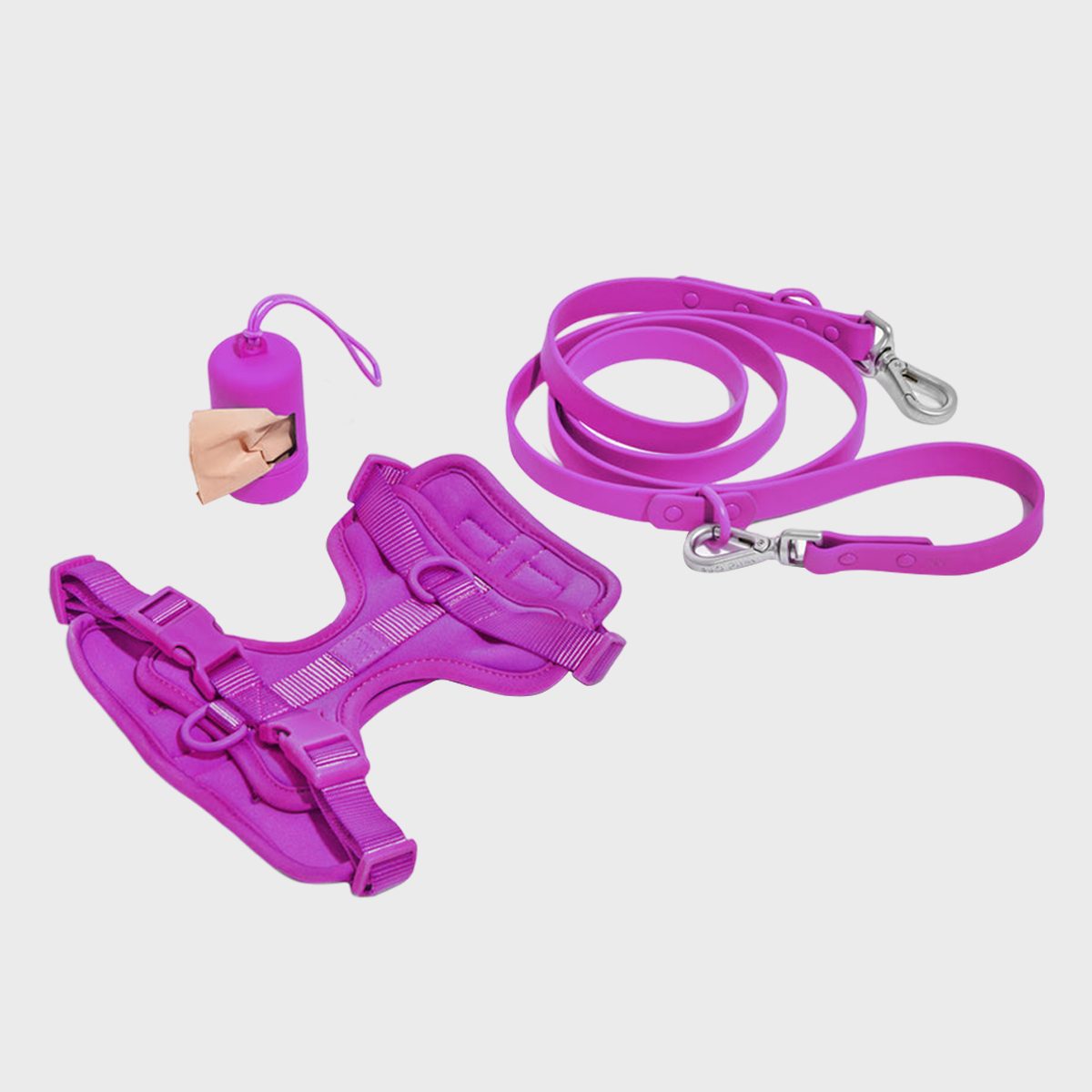 Wild One Harness Walk Kit