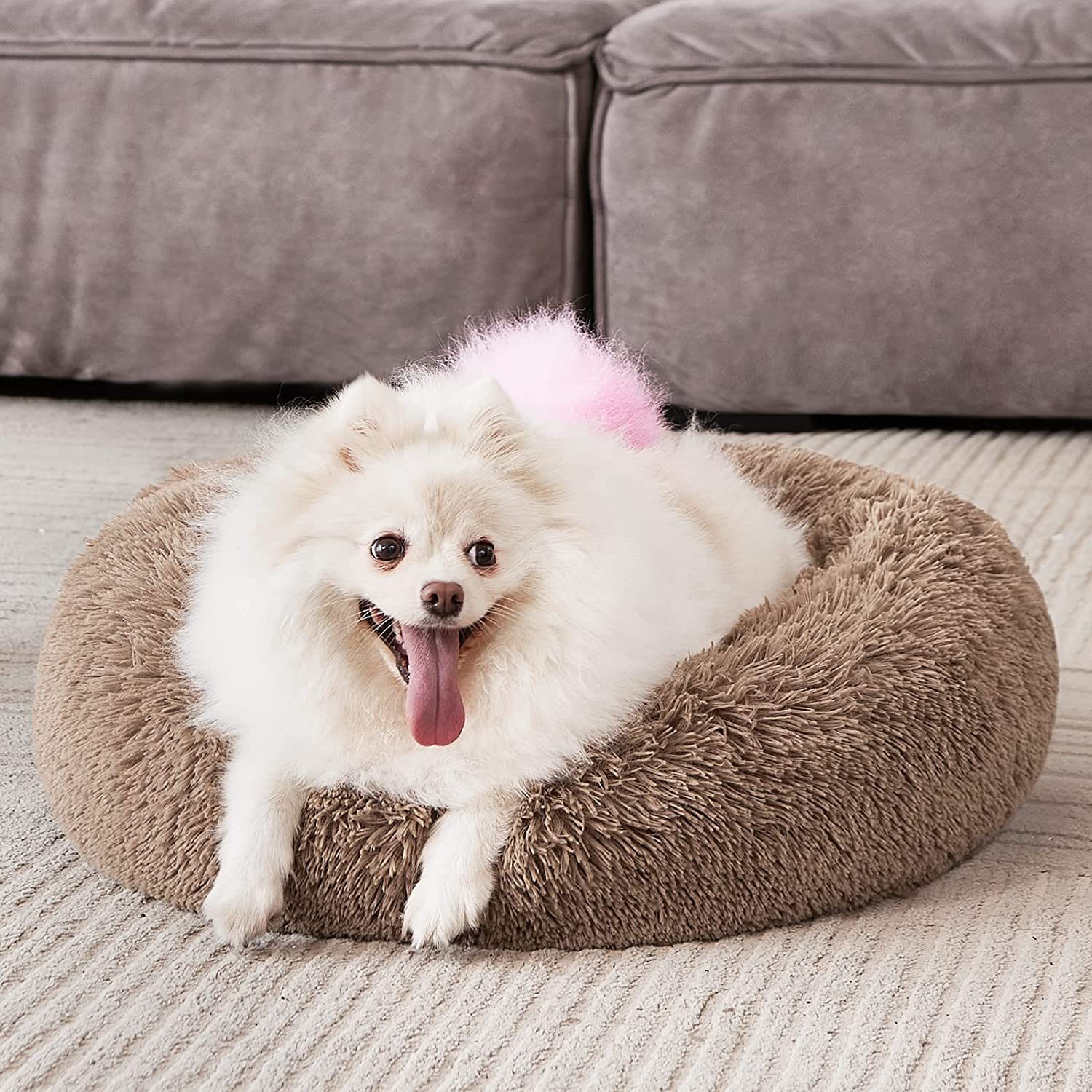 Dog Bed