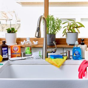Kitchen sink in a modern kitchen with supplies for cleaning all around it