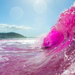 Pinc Dye Release by UC San Diego PiNC Experiment