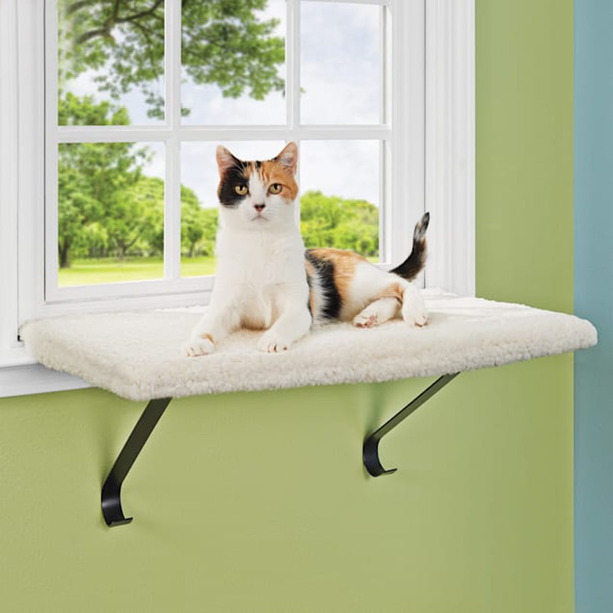 Everyyay Higher Ground Memory Foam Cat Perch