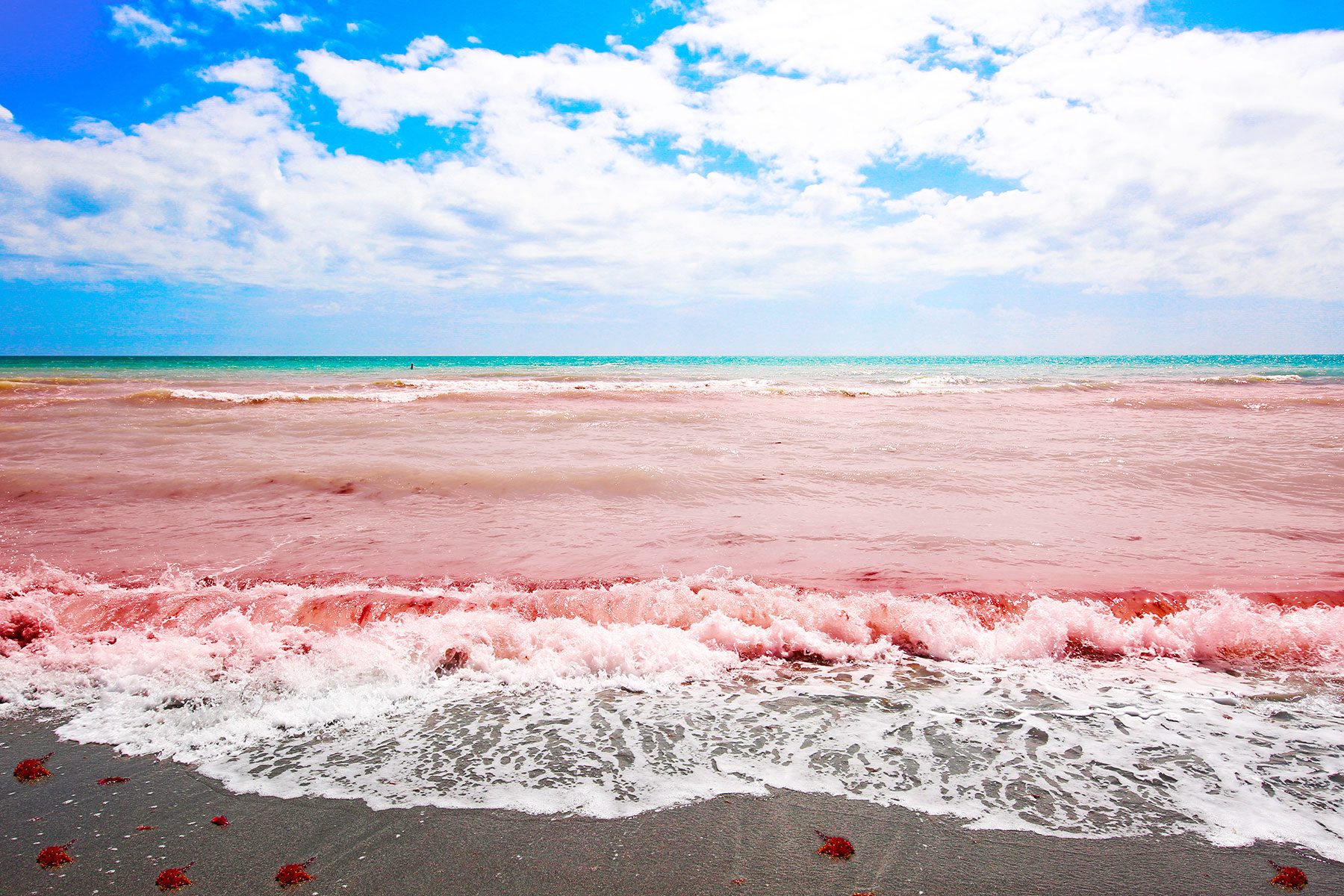 If You See Red Ocean Water, This Is What It Means