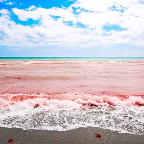 Red Tide Beach inFlorida