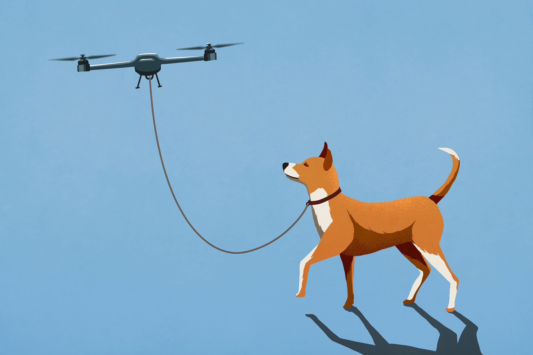 This Drone Has Reunited Over 1,000 Dogs With Their Owners