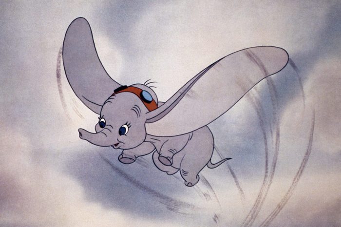 Dumbo