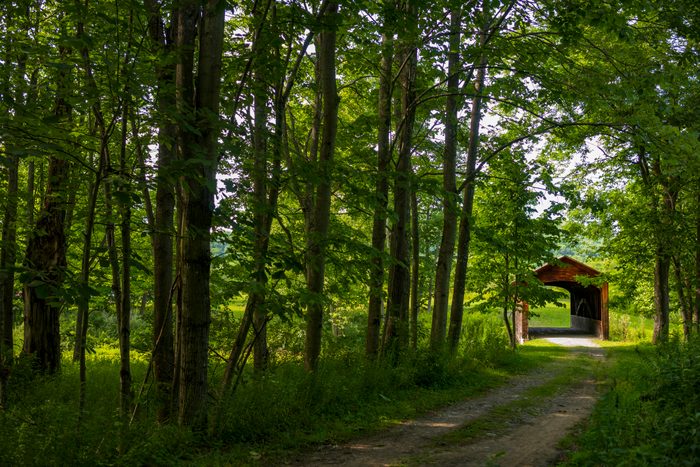 The Hyde Hall Covered Bridge, built in. 1825 and is the oldest existing covered bridge in the U.S., rests at the end of a dirt road during a summer day.