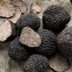 What Are Trufflesâ€”and Why Do They Cost So Much?