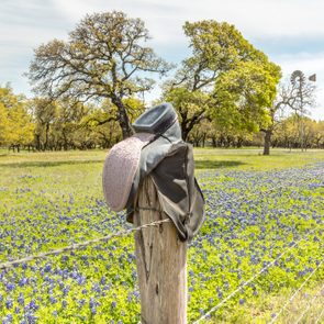 Cowboy Boots On A Fence, Texas Hill Country