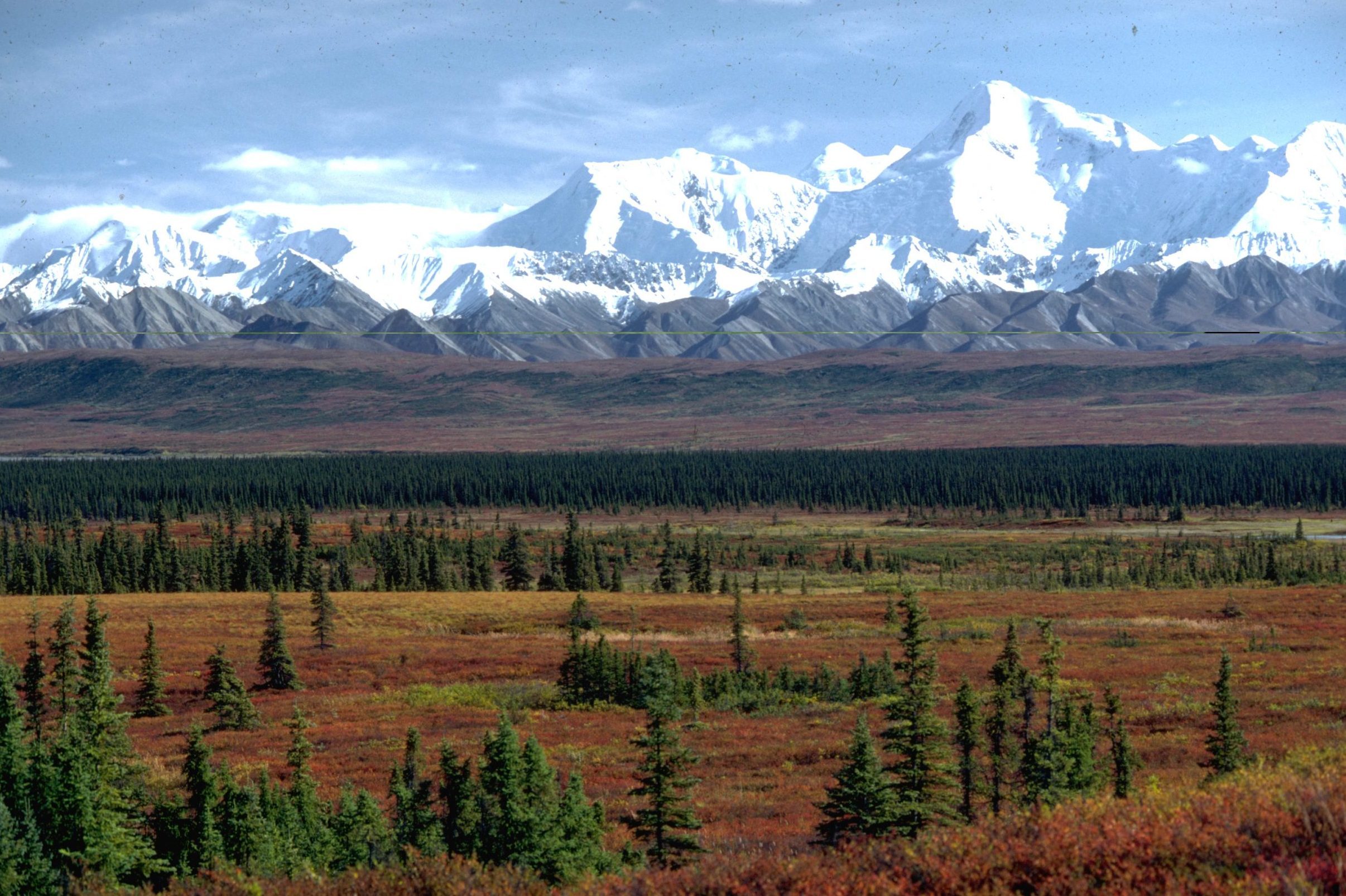 View From Wonder Lake