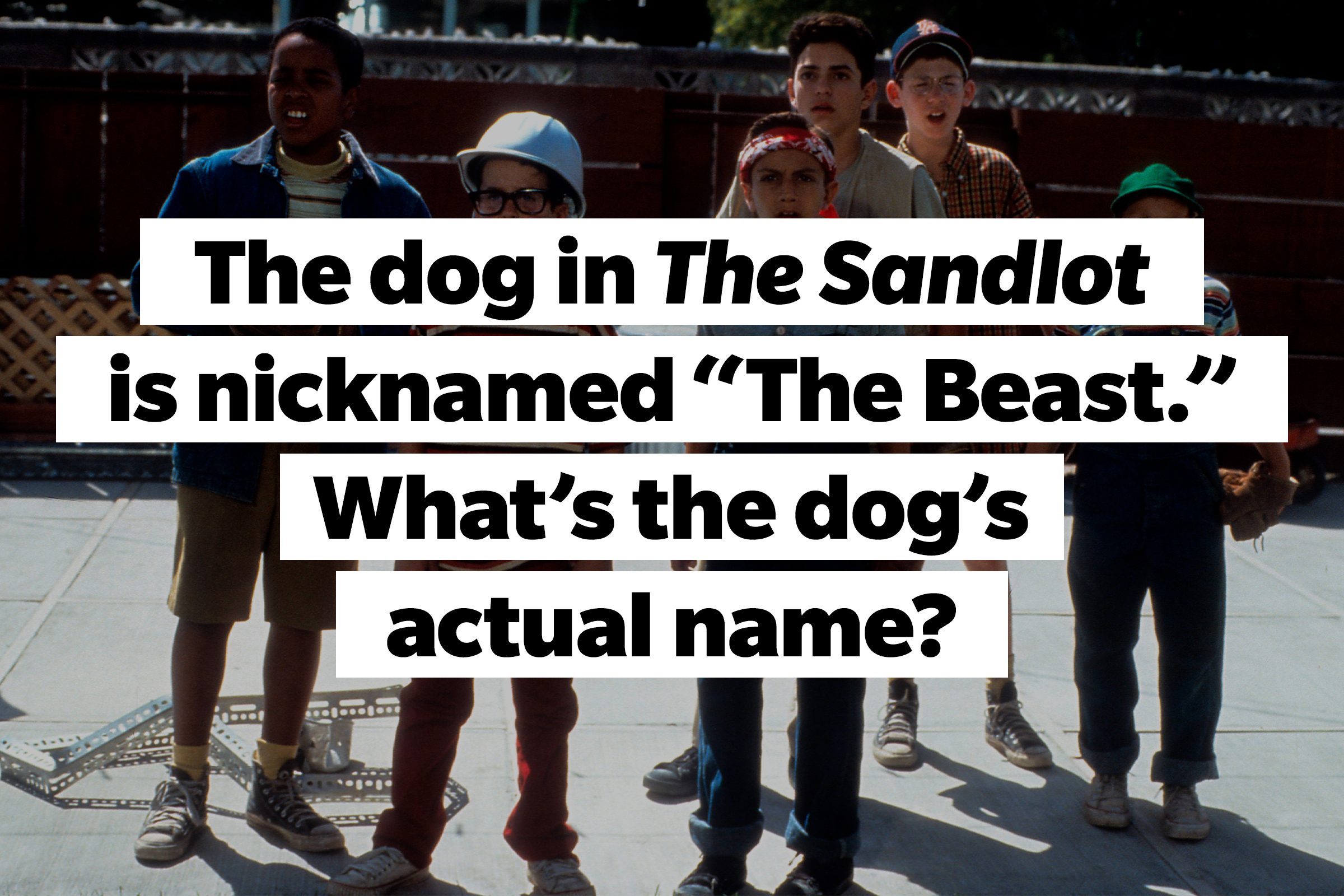 Still from The Sandlot, TEXT: The dog in The Sandlot is nicknamed "The Beast." What's the dog's actual name?