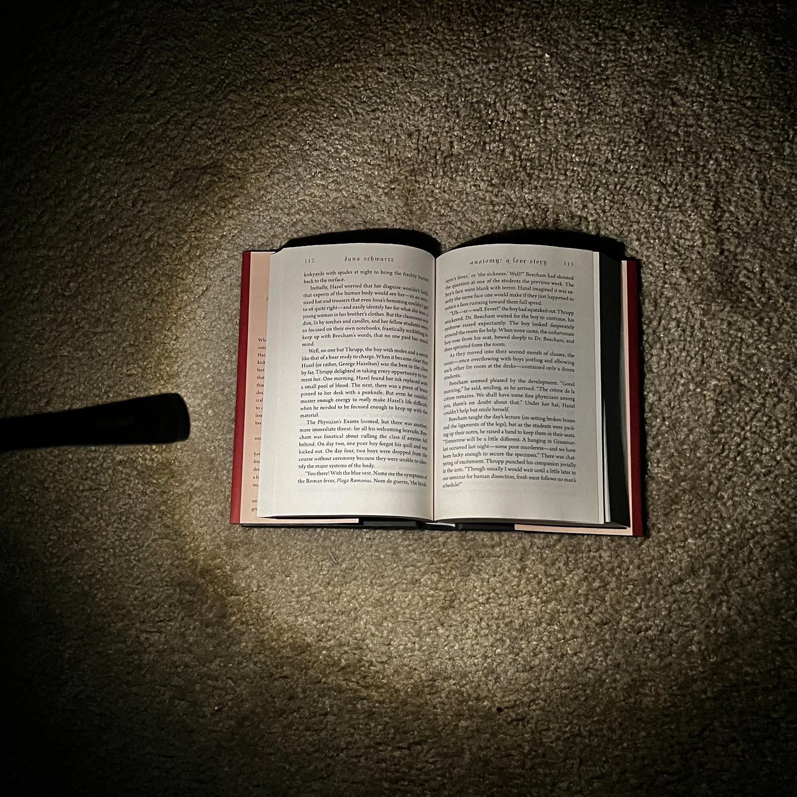 Book Light on a book