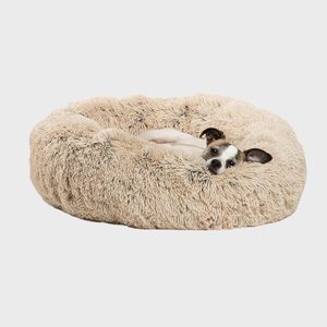 Rd Dog Bead Via Amazon.com