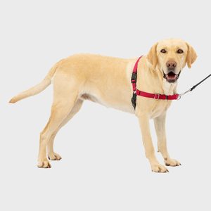 Petsafe Easy Walk Dog Harness
