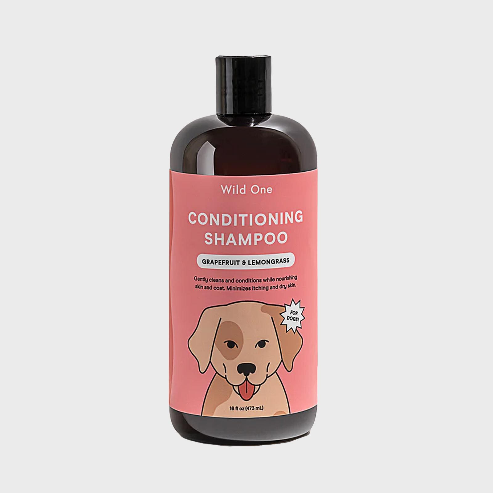 Conditioning shampoo