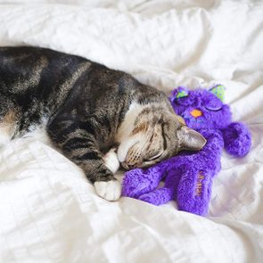 This Purring Cat Toy Has Over 17k Reviews On Amazon