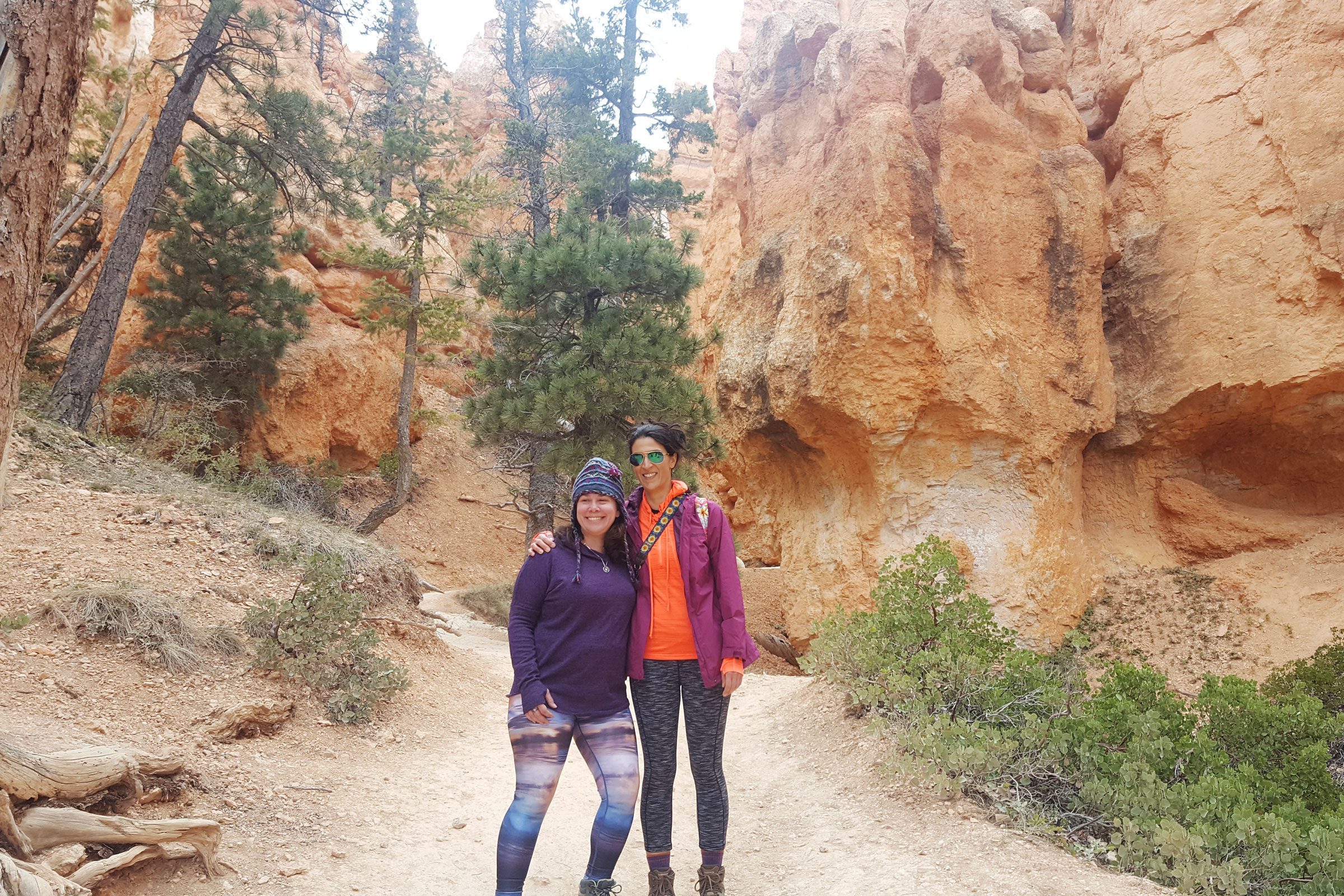 Cathy Garrard in all fifty states