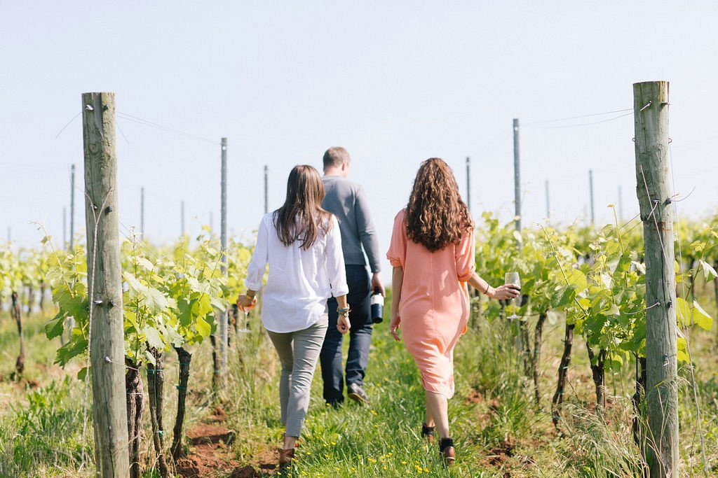 Early Mountain Vineyards in Madison, Virgina