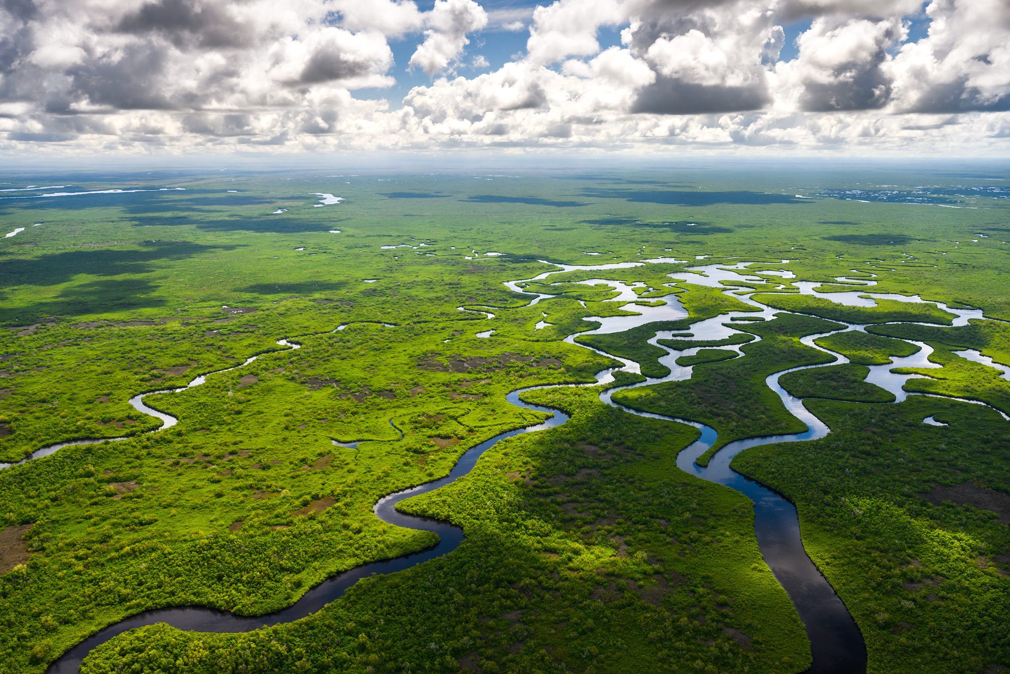 Aerial view of Everglades National Park in Florida, USA
