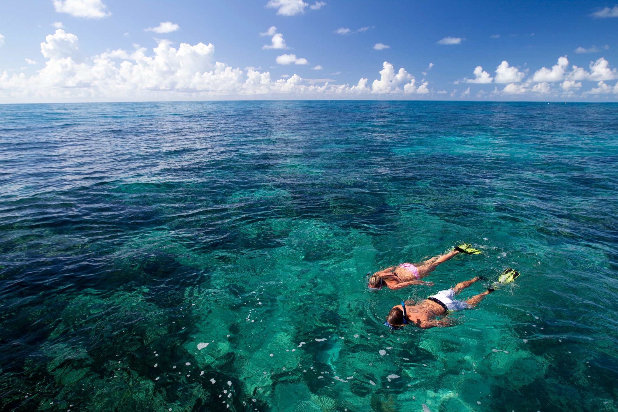 Floating above a coral reef