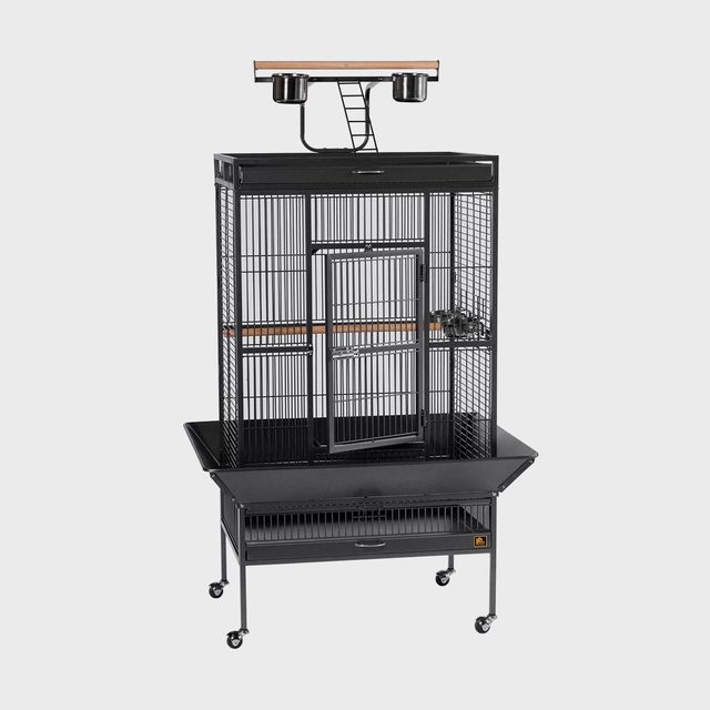 Pet Products From Wayfair 14