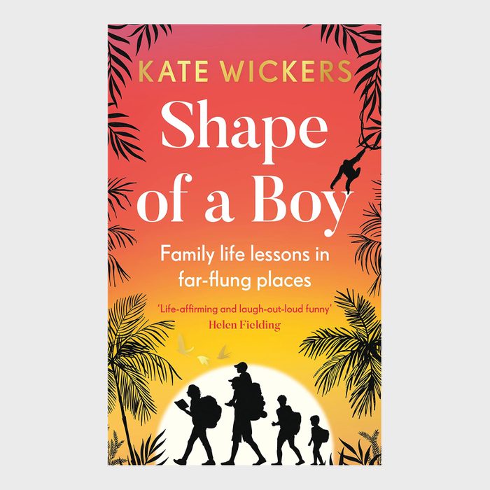 Shape of a Boy by Kate Wickers