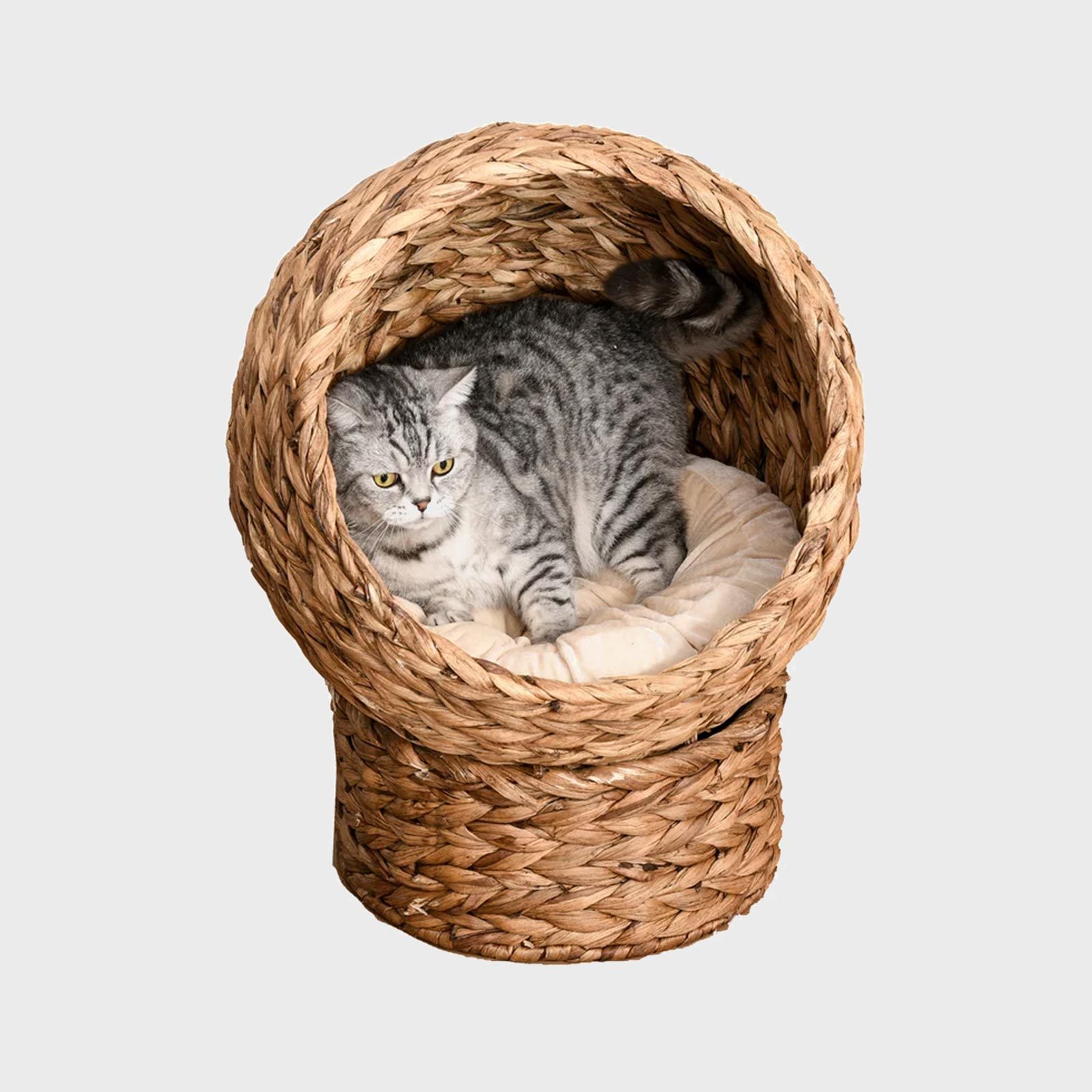 Round cat bed