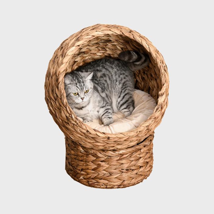 Round cat bed