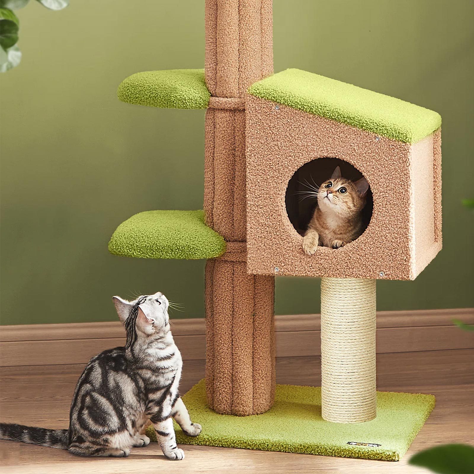 Timms cat tree